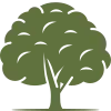 Large choix d'essence.webp