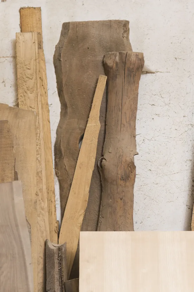 achat de bois sur pied près de Limoges