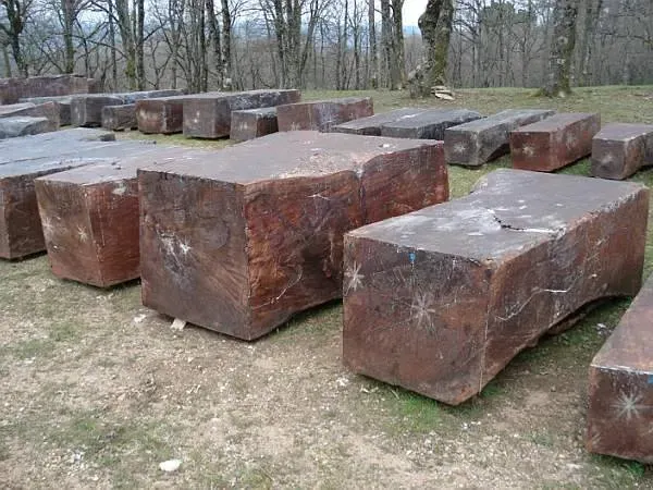 photos des bois Noyer de France (28)