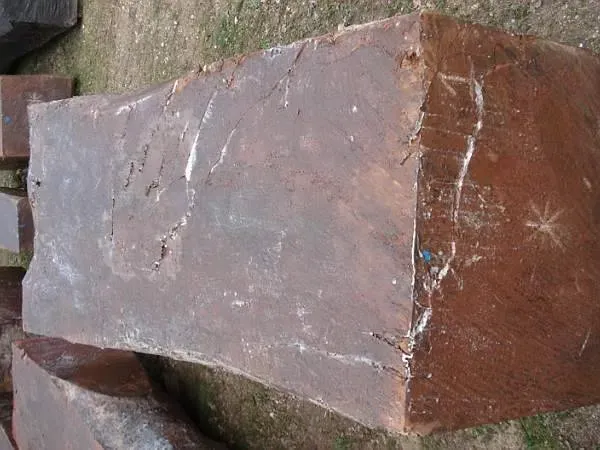 photos des bois Noyer de France (31)