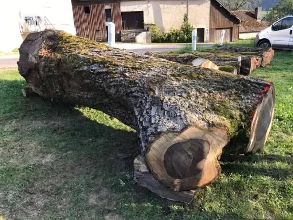 photos des bois Noyer de France (36)