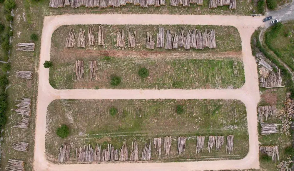 Dépôts Noyer de France (5webp