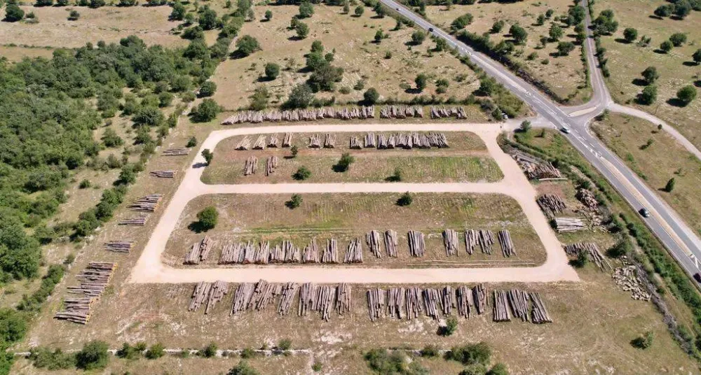 Dépôts Noyer de France (9webp
